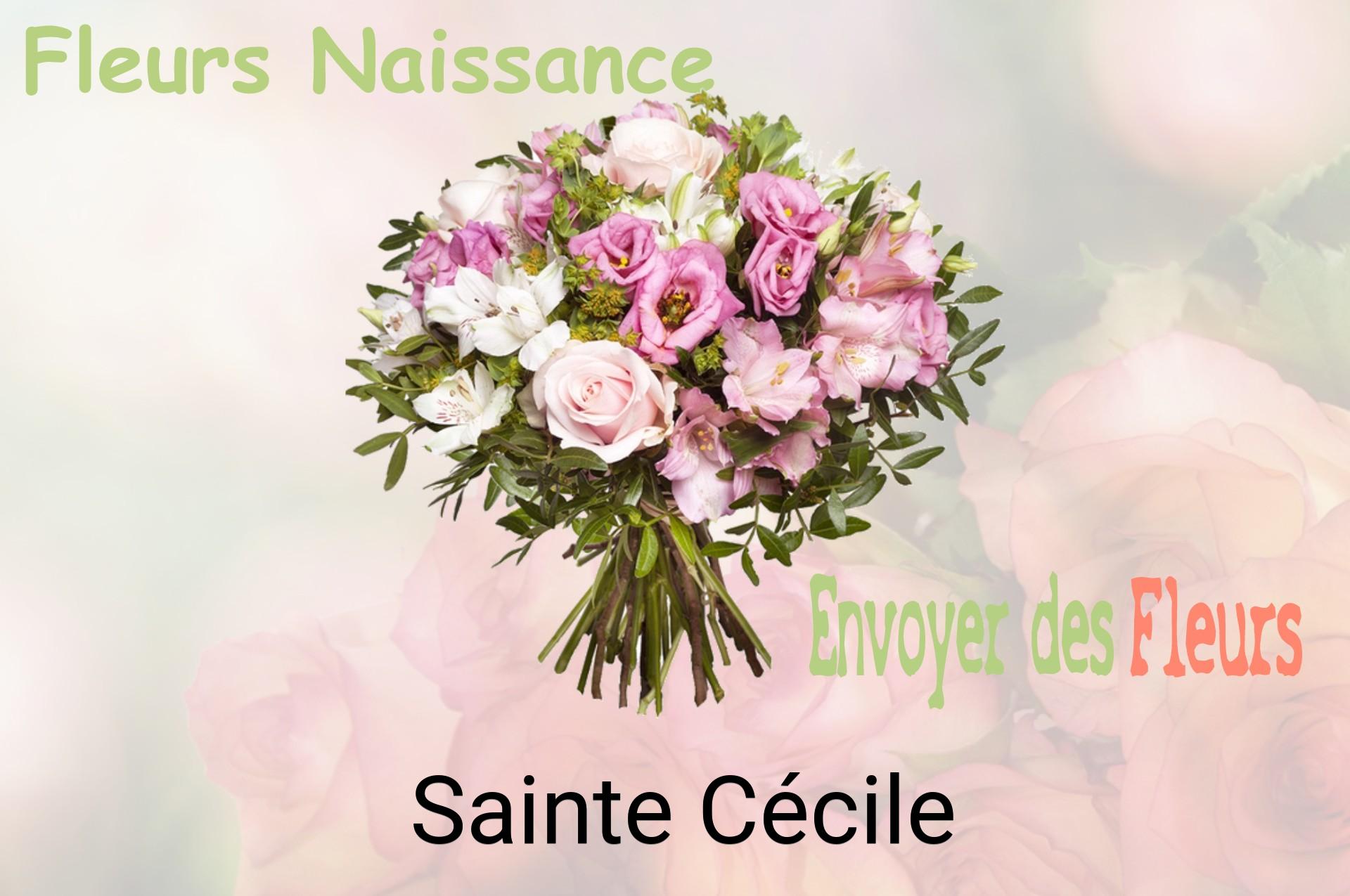 Bouquet de fleurs de naissance livré à Sainte-Cécile